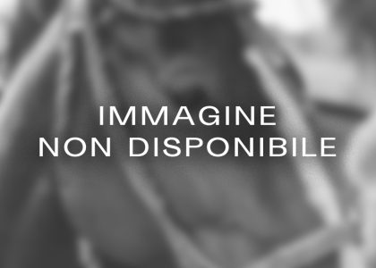 IMMAGINESEGNAPOSTO